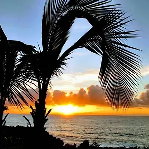 https://kalapana-paradise-palms-and-zen-garden-apt.hotelsinhawaii.org
